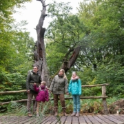 Führungen durch den Urwald Sababurg im Naturpark Reinhardswald