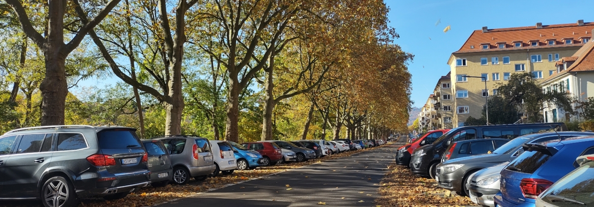 Anliegerstrasse Goethestr